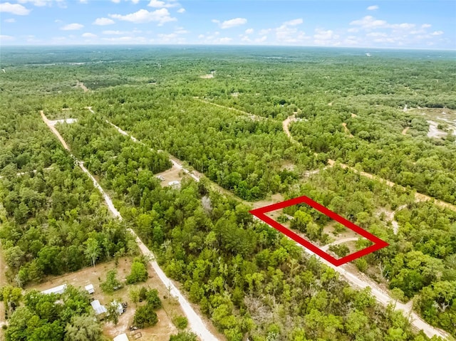 145 19th St, Interlachen, FL 32148