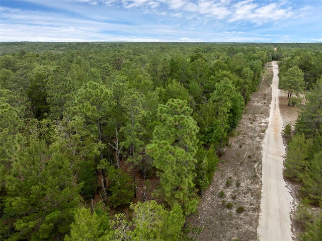 161 19th St, Interlachen, FL 32148