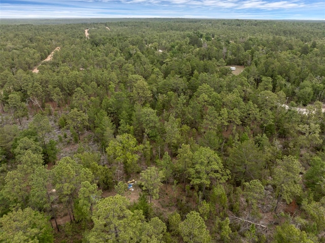 161 19th St, Interlachen, FL 32148