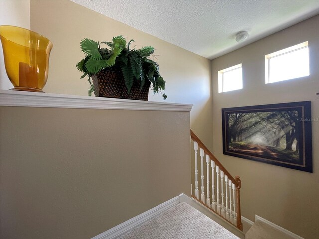 13016 Islamorada Dr, Orlando, FL 32837 - photo 13