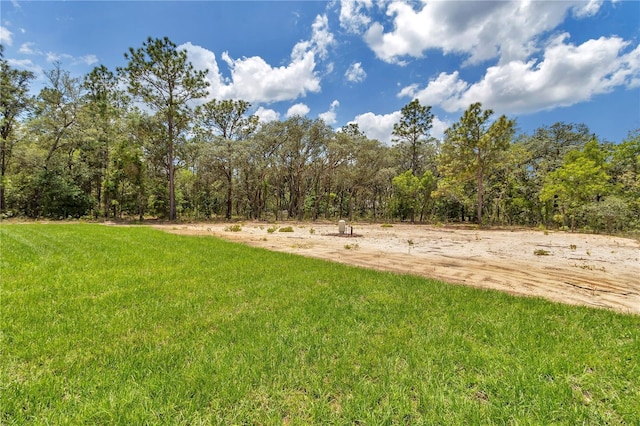 8202 SW 123rd Ter, Dunnellon, FL 34432 - view of grassy yard featuring a wooded view