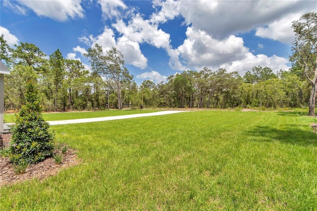 8202 SW 123rd Ter, Dunnellon, FL 34432 - view of grassy yard