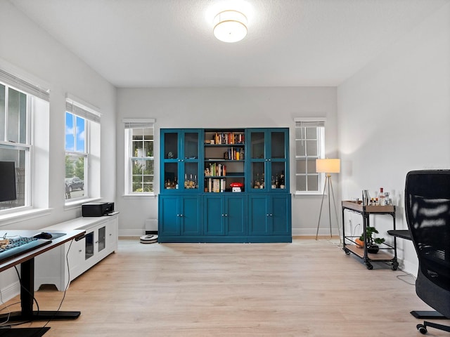 6875 Bridgman St, Orlando, FL 32827 - office featuring light wood-style floors and baseboards