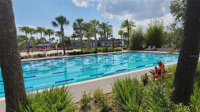 6875 Bridgman St, Orlando, FL 32827 - view of community pool