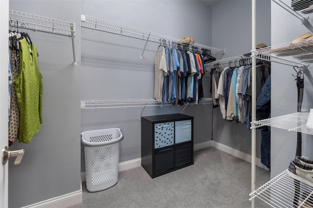 1212 Civitas Way, Winter Garden, FL 34787 - walk in closet featuring carpet