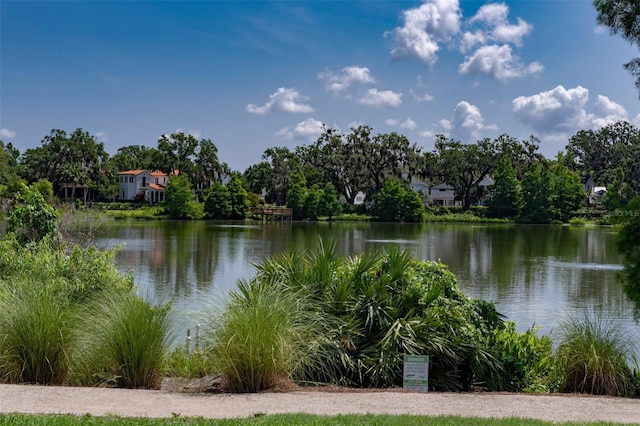 1212 Civitas Way, Winter Garden, FL 34787 - water view