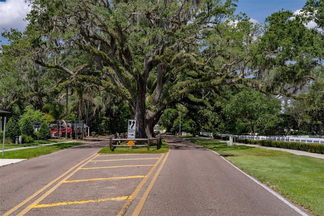 1212 Civitas Way, Winter Garden, FL 34787 - view of asphalt street with view of scattered trees