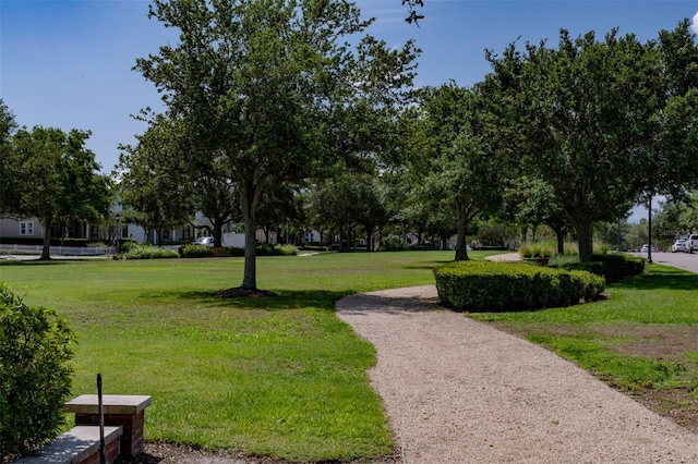 1212 Civitas Way, Winter Garden, FL 34787 - view of property's community featuring a lawn