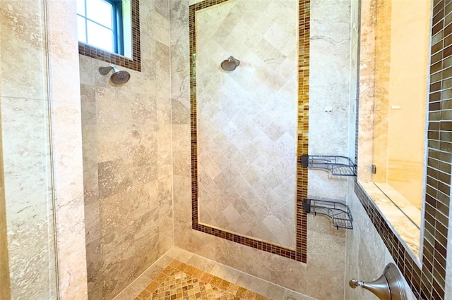 11013 Ullswater Ln, Windermere, FL 34786 - bathroom with a tile shower