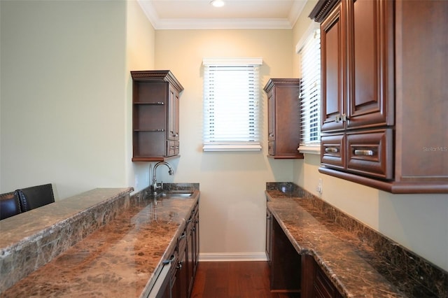 11013 Ullswater Ln, Windermere, FL 34786 - bar featuring a sink, dark wood finished floors, crown molding, baseboards, and recessed lighting