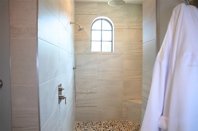 11013 Ullswater Ln, Windermere, FL 34786 - bathroom featuring tiled shower