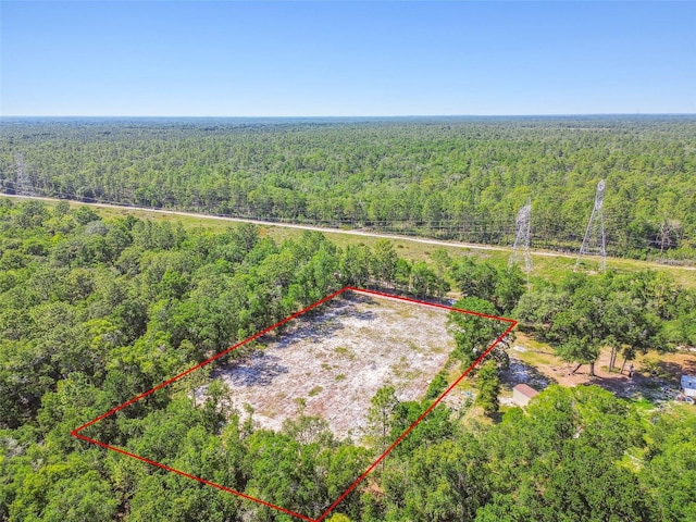 TBD SW 150th St, Dunnellon, FL 34432