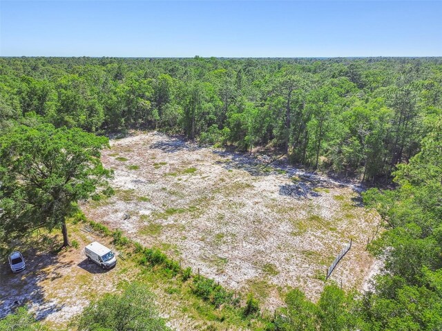 TBD SW 150th St, Dunnellon, FL 34432
