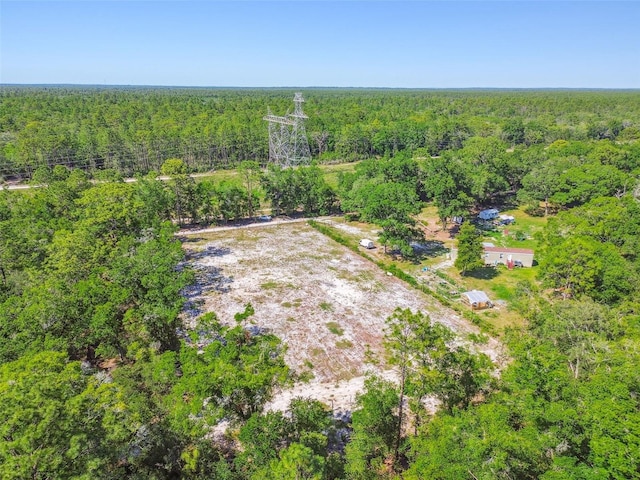 TBD SW 150th St, Dunnellon, FL 34432