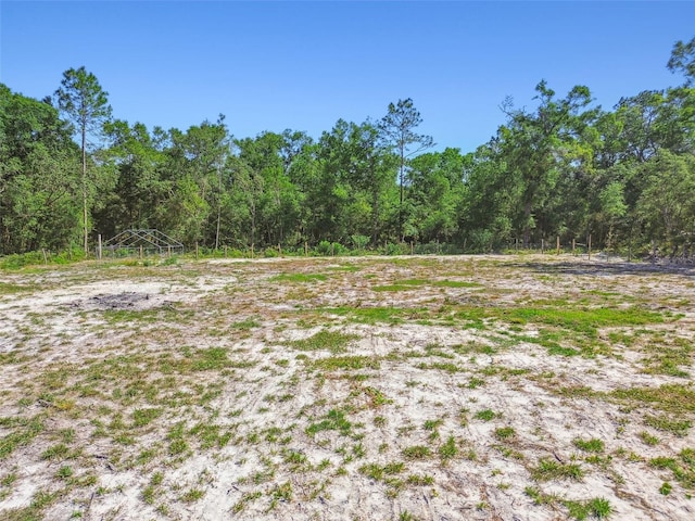 TBD SW 150th St, Dunnellon, FL 34432