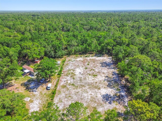 TBD SW 150th St, Dunnellon, FL 34432