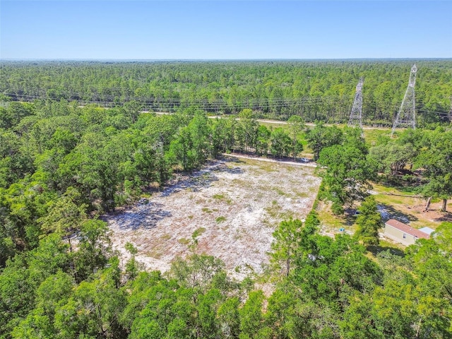 TBD SW 150th St, Dunnellon, FL 34432