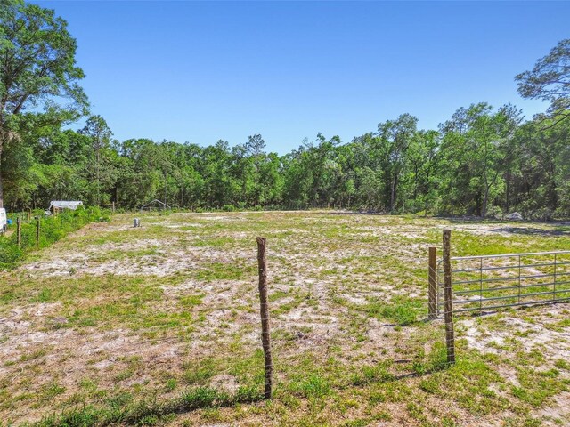 TBD SW 150th St, Dunnellon, FL 34432
