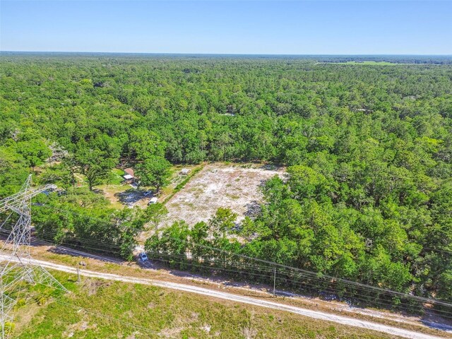 TBD SW 150th St, Dunnellon, FL 34432