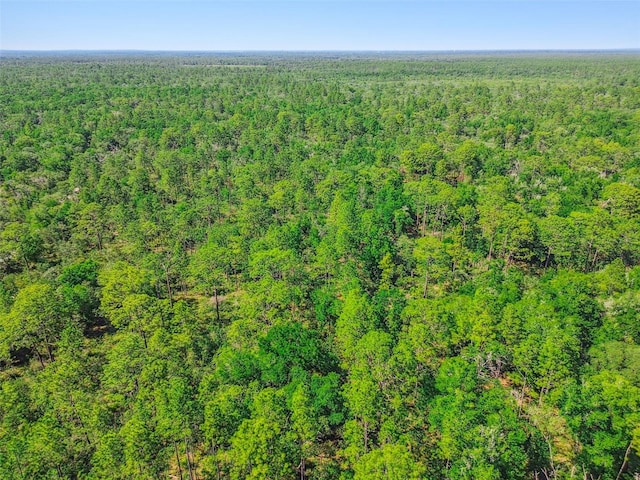 TBD SW 150th St, Dunnellon, FL 34432
