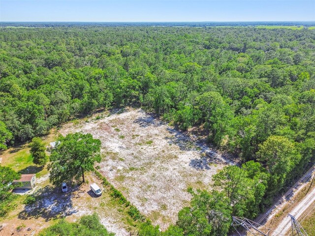 TBD SW 150th St, Dunnellon, FL 34432