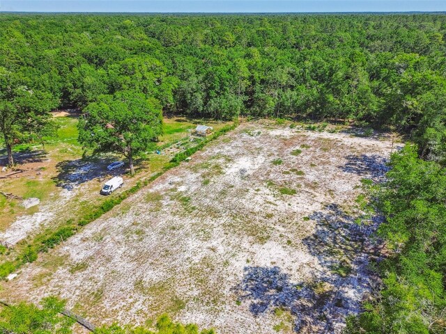 TBD SW 150th St, Dunnellon, FL 34432