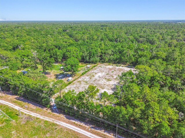 TBD SW 150th St, Dunnellon, FL 34432
