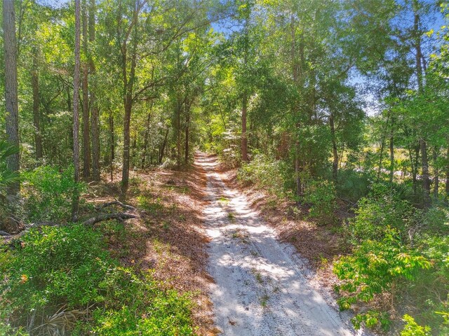 TBD SW 150th St, Dunnellon, FL 34432