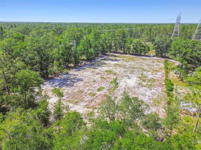 TBD SW 150th St, Dunnellon, FL 34432