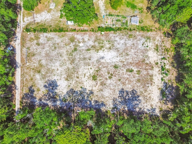 TBD SW 150th St, Dunnellon, FL 34432