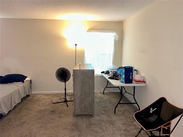 4427 Blackbird St, Kissimmee, FL 34746 - bedroom featuring carpet flooring and a textured ceiling