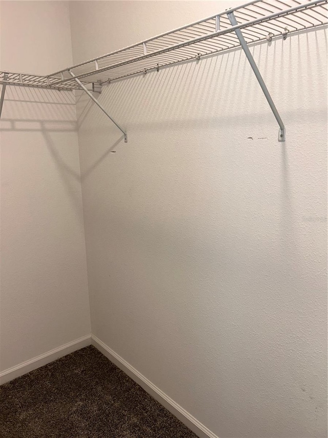 4427 Blackbird St, Kissimmee, FL 34746 - walk in closet featuring dark carpet