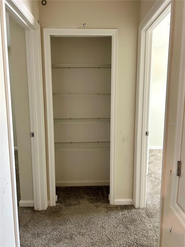 4427 Blackbird St, Kissimmee, FL 34746 - view of closet