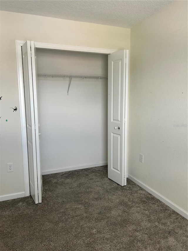 4427 Blackbird St, Kissimmee, FL 34746 - view of closet