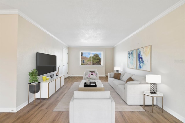 1948 Conway Rd Unit 8, Orlando, FL 32812 - living area featuring light wood finished floors, crown molding, baseboards, and a textured ceiling
