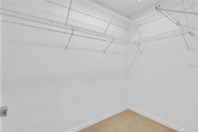 5395 Dover Village Ln Unit 305, Orlando, FL 32812 - spacious closet with light colored carpet