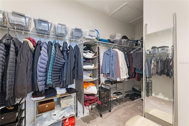 15358 Arcadia Bluff Loop, Winter Garden, FL 34787 - walk in closet with attic access and carpet floors