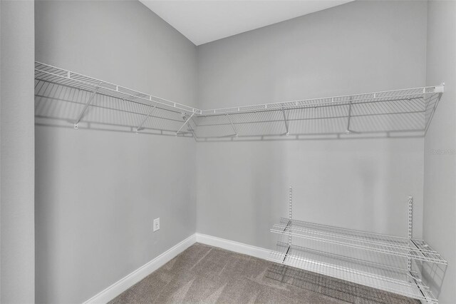 8226 Nemours Pkwy, Orlando, FL 32827 - photo 25
