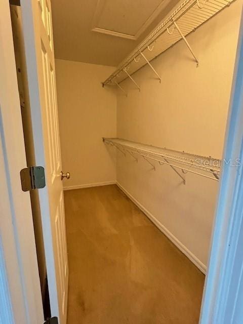 14531 Pleach St, Winter Garden, FL 34787 - spacious closet featuring carpet floors