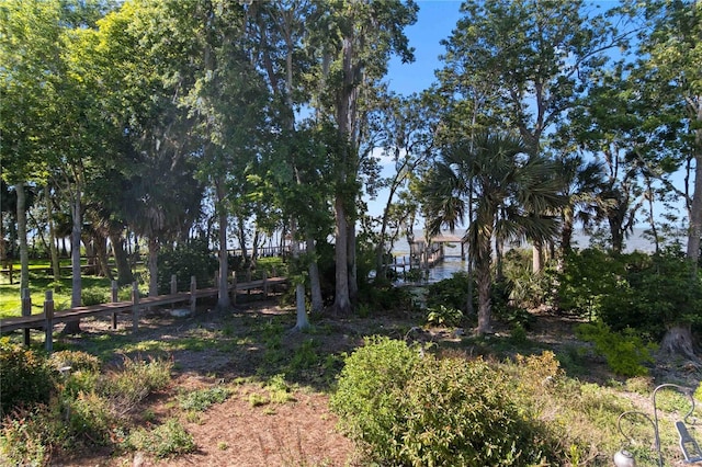 557 Lake Cove Pointe Cir, Winter Garden, FL 34787 - view of yard