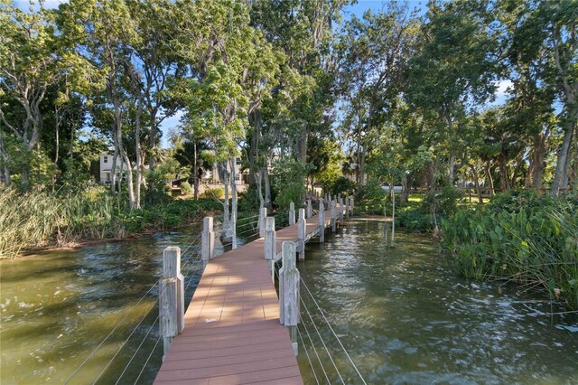 557 Lake Cove Pointe Cir, Winter Garden, FL 34787 - dock area with a water view and view of scattered trees