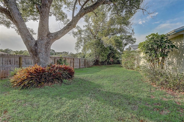 3100 Las Palmas Dr, Titusville, FL 32780 - view of yard