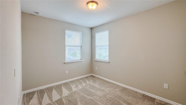 9917 Summerlake Groves St, Winter Garden, FL 34787 - empty room with carpet, a textured ceiling, baseboards, and a smoke detector