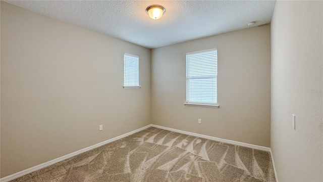 9917 Summerlake Groves St, Winter Garden, FL 34787 - empty room featuring healthy amount of natural light, light colored carpet, baseboards, and a textured ceiling