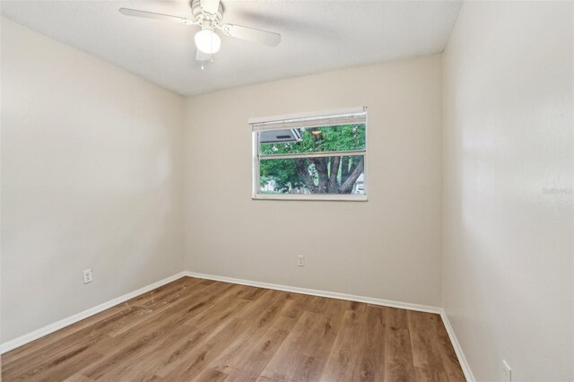 384 Zinnia Dr, Casselberry, FL 32707 - photo 13