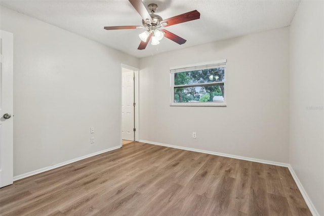 384 Zinnia Dr, Casselberry, FL 32707 - photo 19