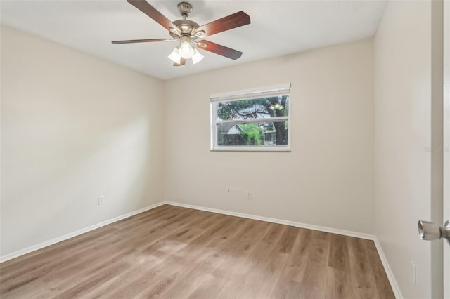 384 Zinnia Dr, Casselberry, FL 32707 - photo 21