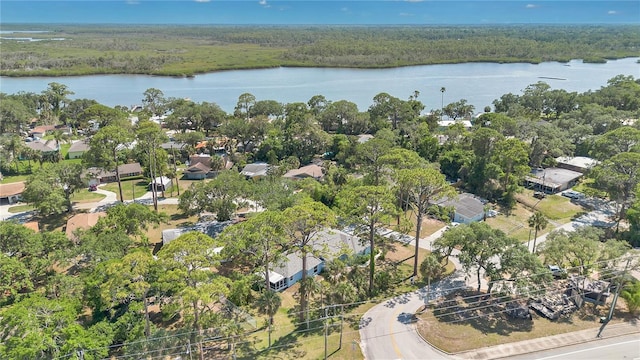 5505 W Magnolia Ave, Port Orange, FL 32127 - photo 31