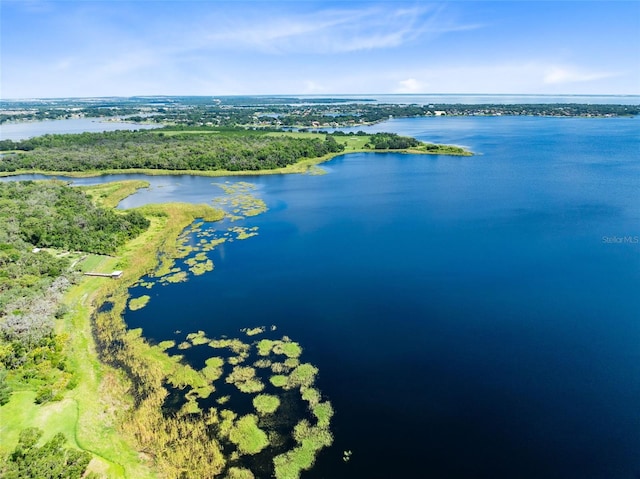 16696 Otterchase Ln, Winter Garden, FL 34787 - drone / aerial view of a large body of water