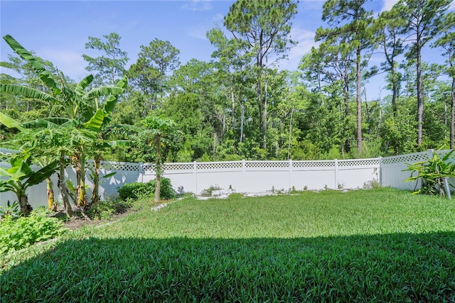 280 Caryota Ct, New Smyrna Beach, FL 32168 - view of yard